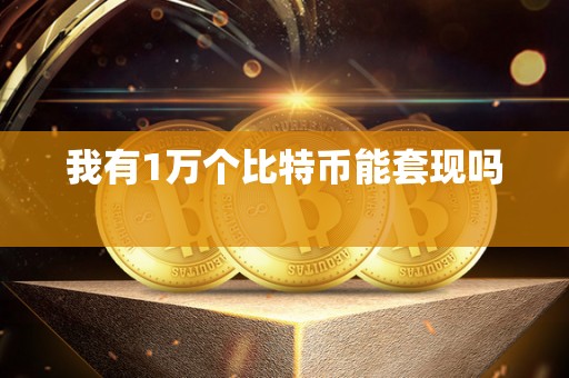 我有1万个比特币能套现吗 