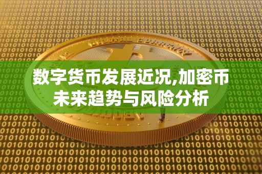 数字货币发展近况,加密币未来趋势与风险分析