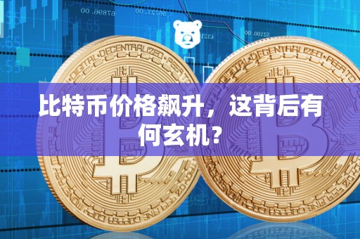 比特币价格飙升，这背后有何玄机？