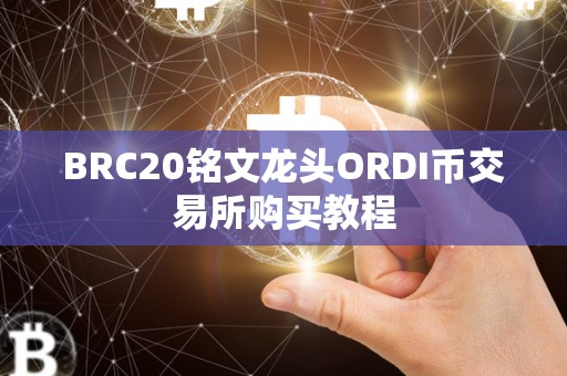 BRC20铭文龙头ORDI币交易所购买教程