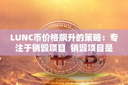 LUNC币价格飙升的策略：专注于销毁项目  销毁项目是LUNC币价格飙升的有效策略