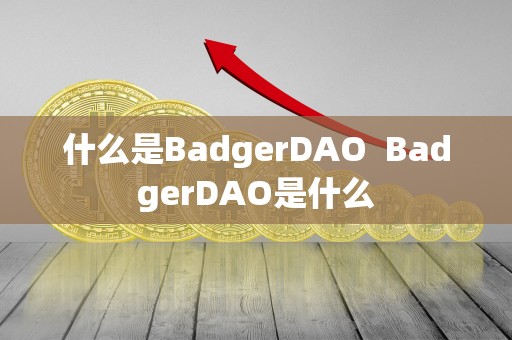 什么是BadgerDAO  BadgerDAO是什么