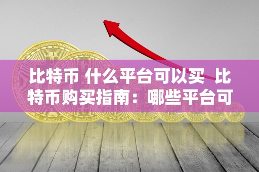 比特币 什么平台可以买  比特币购买指南：哪些平台可以买比特币？
