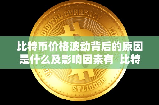 比特币价格波动背后的原因是什么及影响因素有  比特币价格波动背后的原因是什么及影响因素有