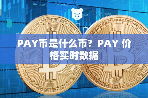 PAY币是什么币?  PAY 价格实时数据