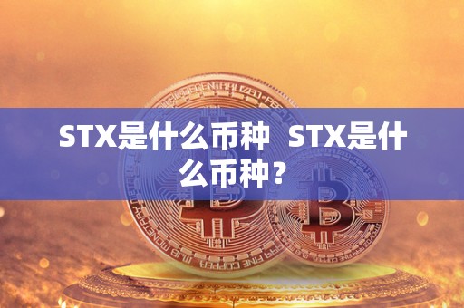 STX是什么币种  STX是什么币种？