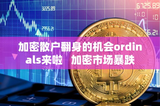 加密散户翻身的机会ordinals来啦   加密市场暴跌