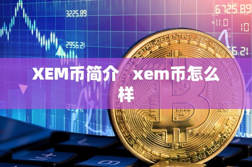 XEM币简介   xem币怎么样