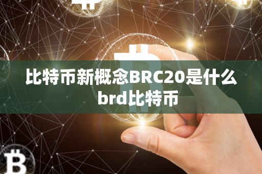 比特币新概念BRC20是什么   brd比特币