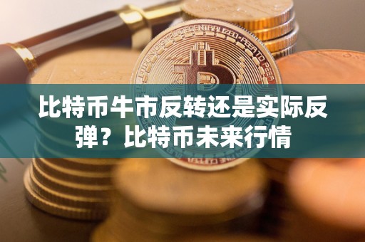 比特币牛市反转还是实际反弹？比特币未来行情